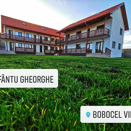 Bobocel Villa Sfântu Gheorghe Zewnętrze zdjęcie